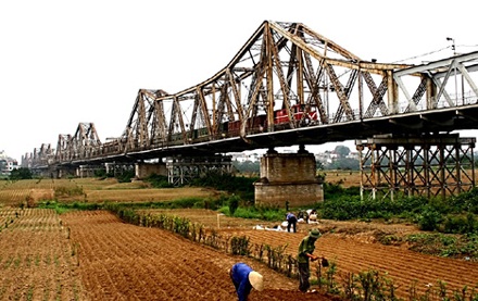 Train in Vietnam