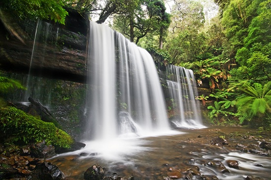 chute-de-dalat