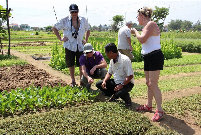 vegetable-garden-in-traque-hue