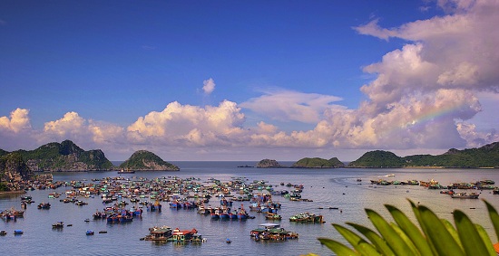 Cat Ba Vietnam