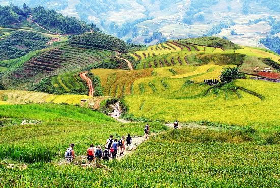 Vietnam landscape