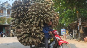 transport-vietnam-photo