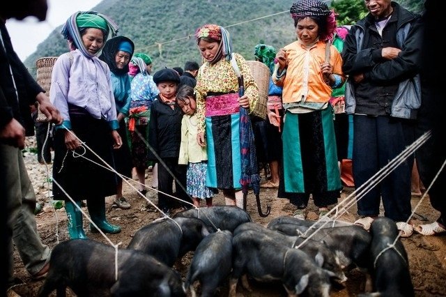 beautiful-pictures-of-ha-giang-province-vietnam