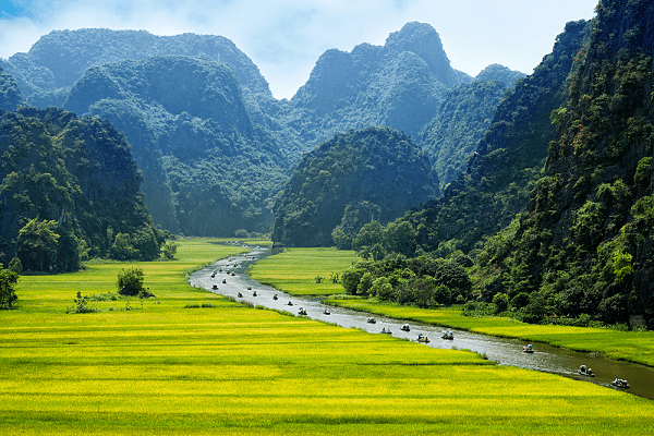 Water rice field in Tam Coc