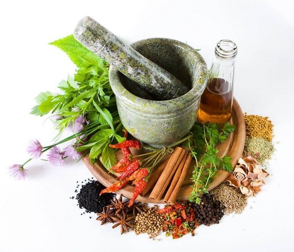 thuoc nam traditional Vietnamese medicine