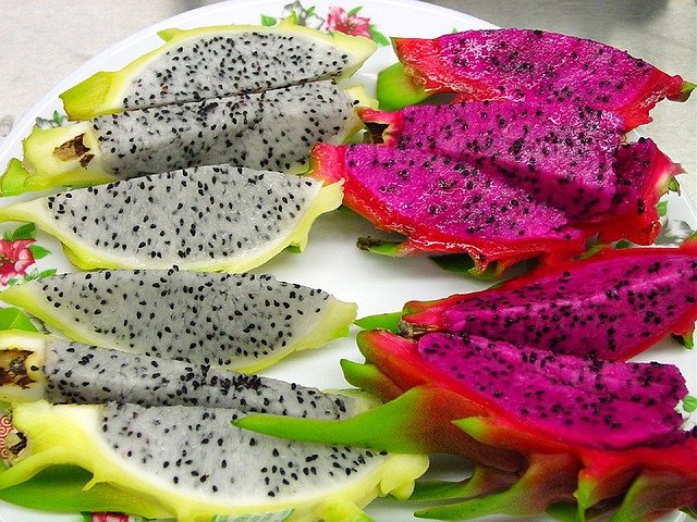 dragon fruit vietnam