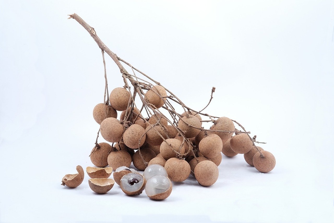 longan of vietnam