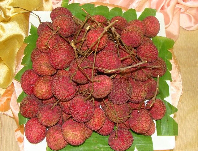 lychee of vietnam