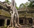 Angkor Wat Cambodge