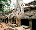 Best of Angkor 5 days tour (2)