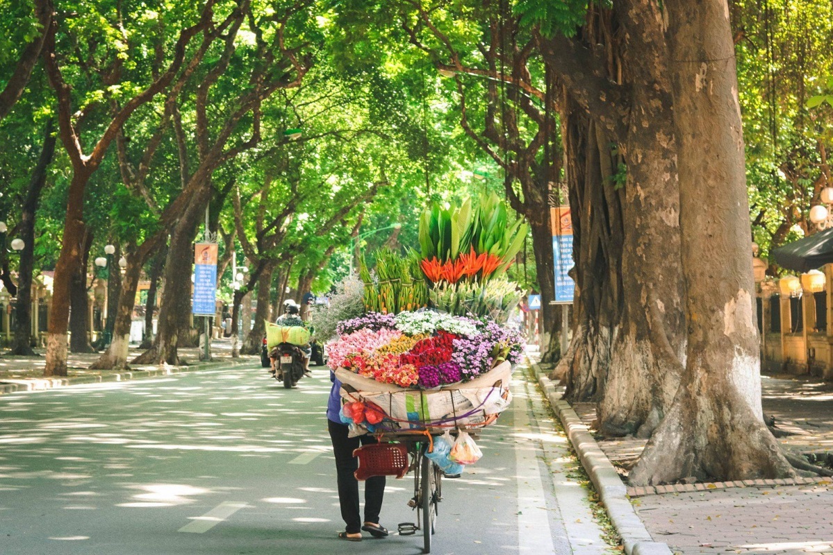 street hanoi vietnam