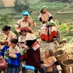 esperienze autentiche Vietnam