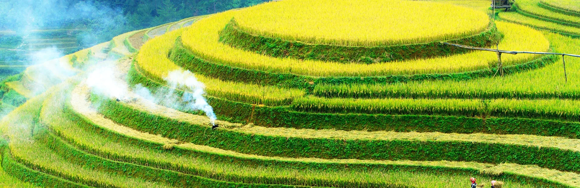 trip in Vietnam