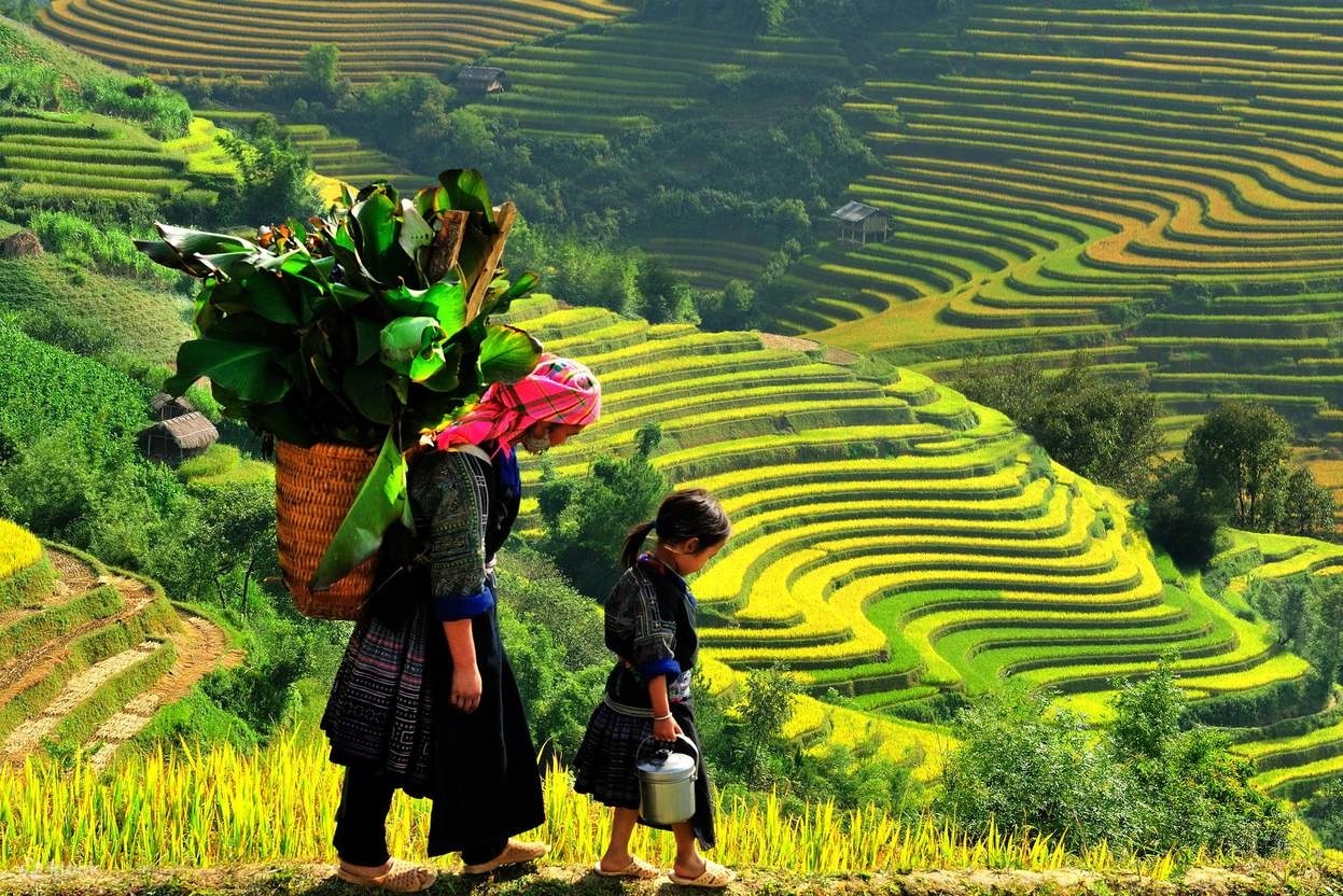 Sapa-y-linh-ho-lao-chai-ta-van