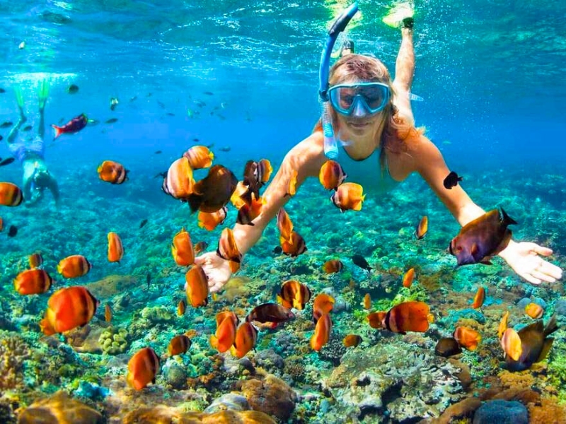 Snorkeling à l’île de Con Dao