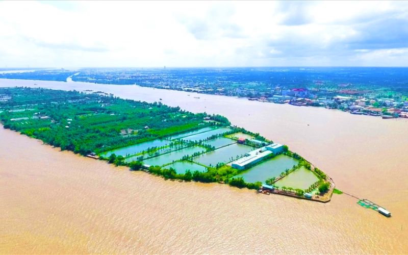 Côn Son est un idyllique îlot fluvial situé au cœur du fleuve Hâu, une artère vitale du delta du Mékong