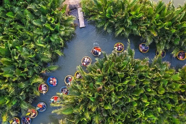 Foresta di cocco di Bay Mau
