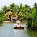 Bay Mau water coconut forest