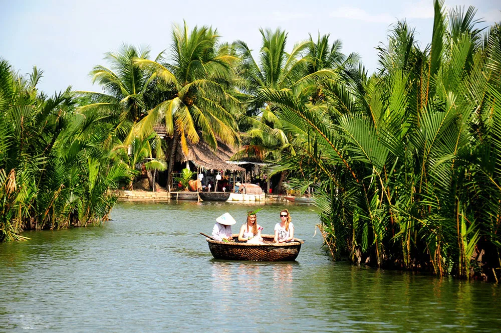 Bay Mau water coconut forest