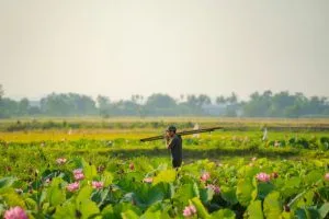 What to Do in Hue: Complete Guide for a Perfect Trip