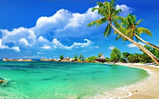 Southern Vietnam & Phu Quoc in 8 Days