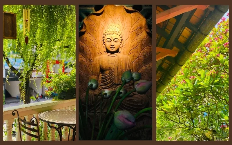 Bông Súng's space is infused with greenery, offering a soothing and natural environment