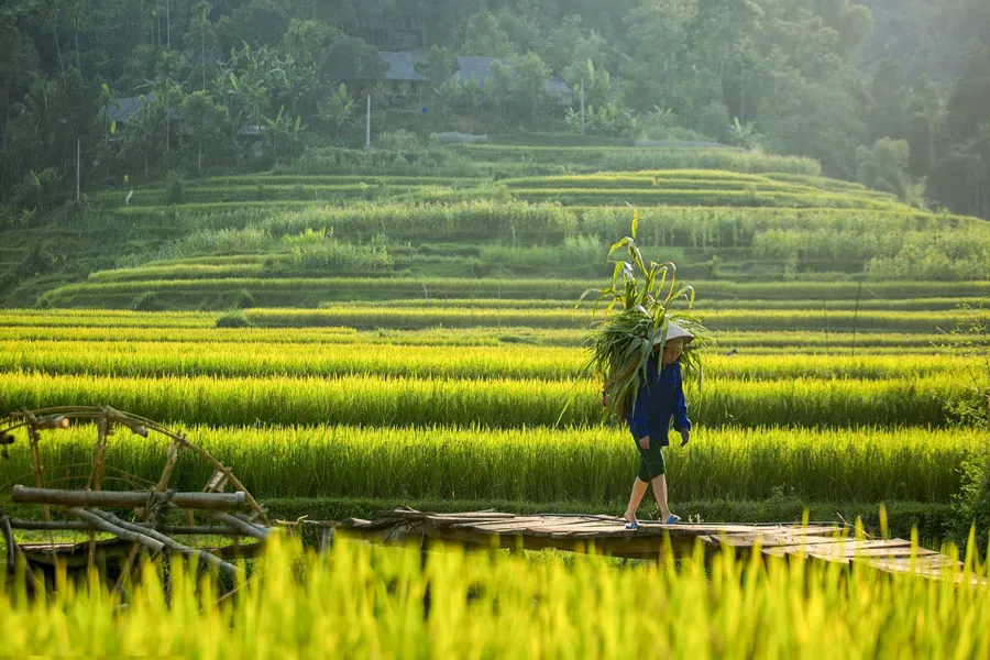 ban hang eo ken pu luong