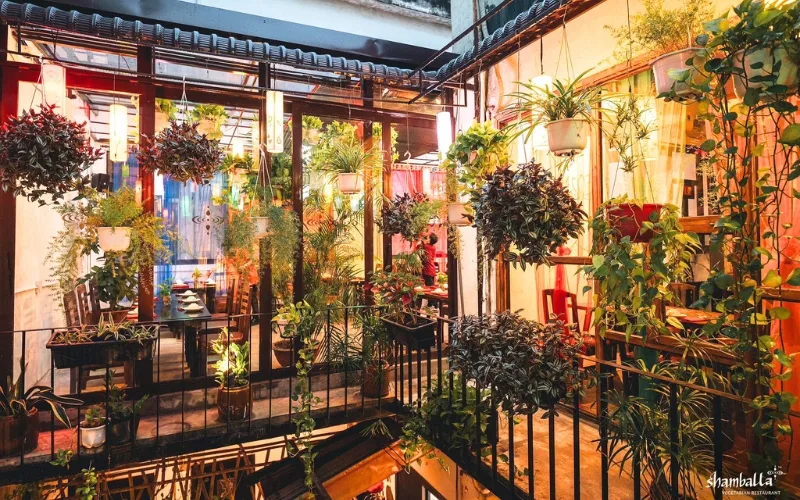 The Shamballa restaurant offers an airy, spacious setting in harmony with nature