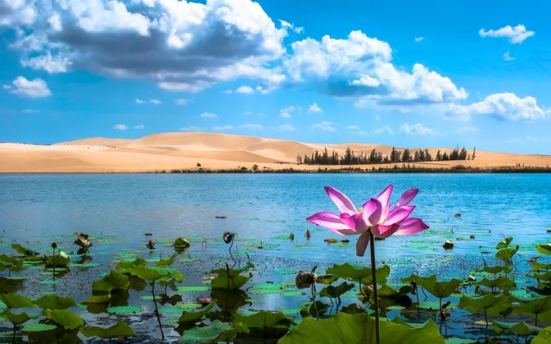 Bàu Sen (Lotus Lake)