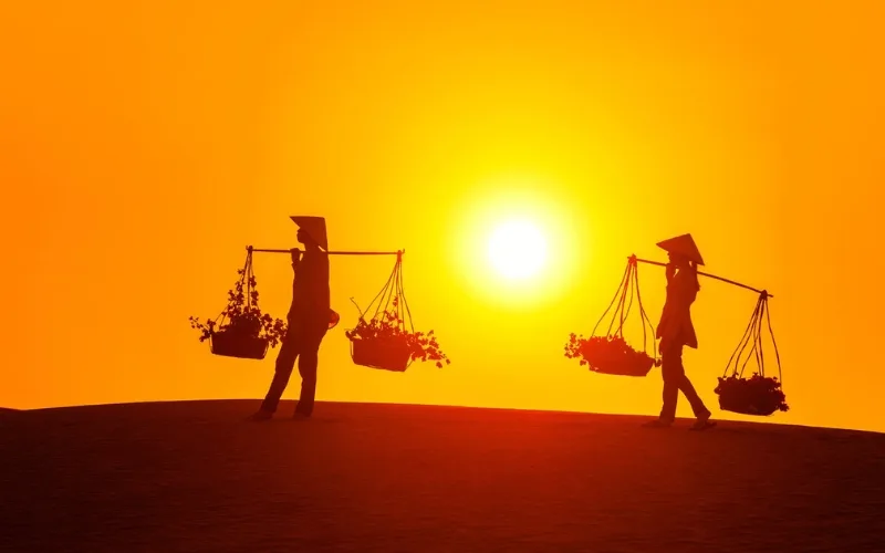 Đồi Cát Hồng (Red sand dunes)