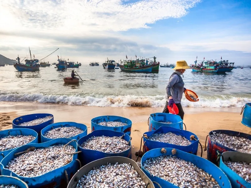 The fishing village of Bảo Ninh, an ancient village located on the Bảo Ninh peninsula.