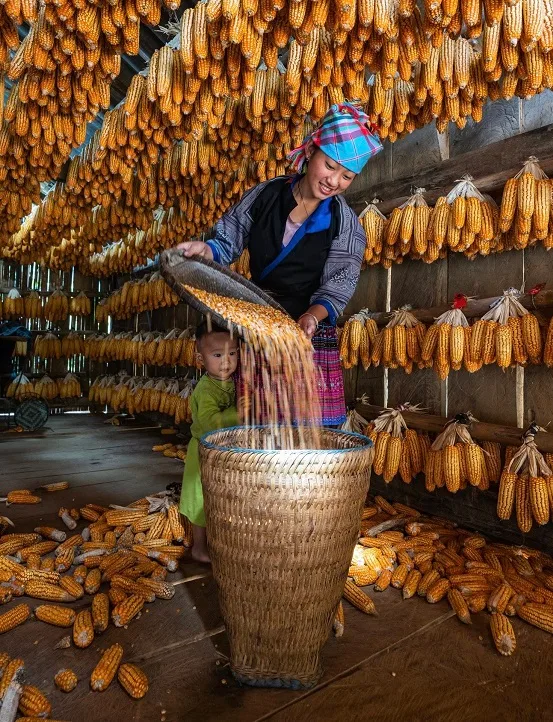 gli Hmong in Vietnam