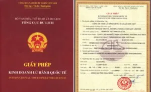 Our International Tourism License