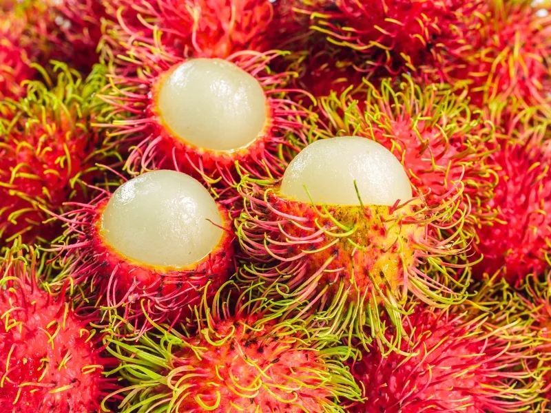 Vietnamese rambutan, with spiky red skin and sweet, juicy, refreshing flesh