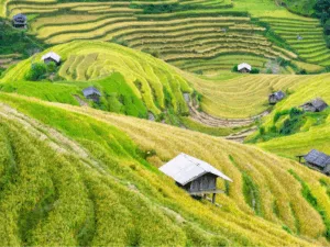 Travel Vietnam – Everything You Need to Know
