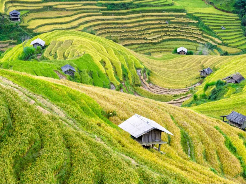 Travel Vietnam – Everything You Need to Know