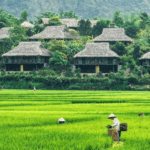 Mai Chau