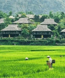 Visit Mai Chau in 2 Days: Trekking, Local Culture and Home Stay