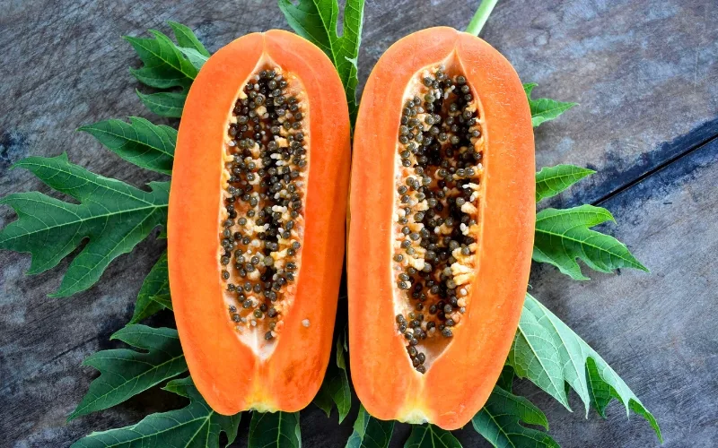 Du du (Papaya), tropical fruit with bright colors and sweet flavor, symbol of freshness in Vietnam