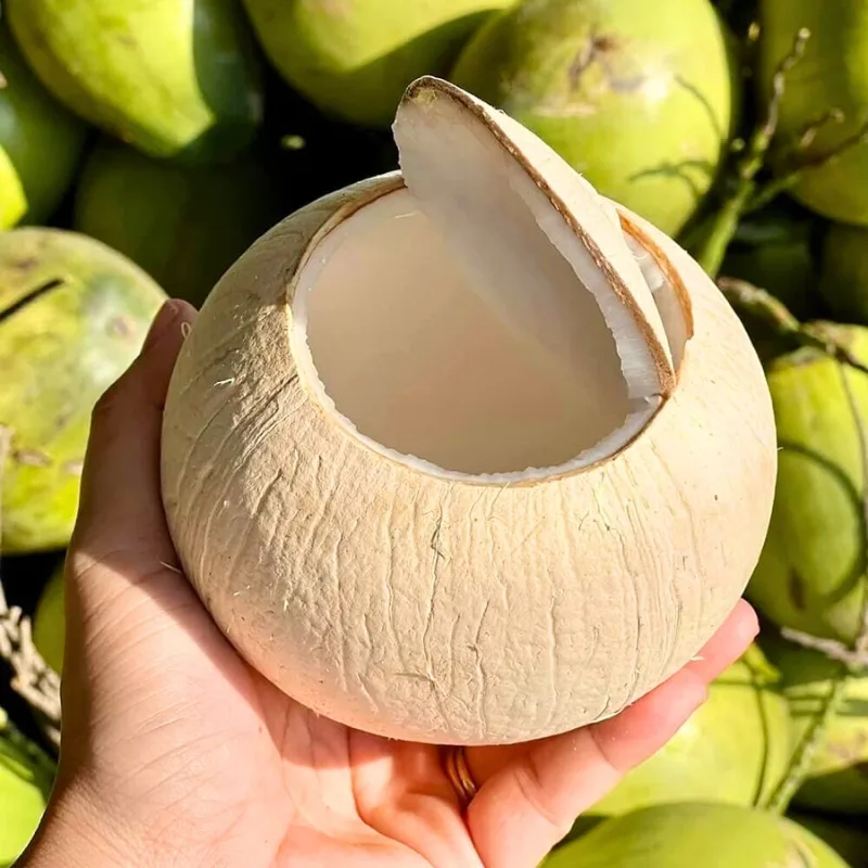 Dua (Coconut), one of the most appreciated and refreshing drinks in Vietnam