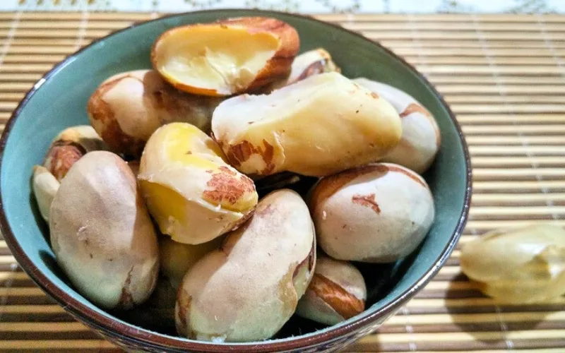 Jackfruit seeds, often discarded, are nevertheless rich in nutrients and plant proteins
