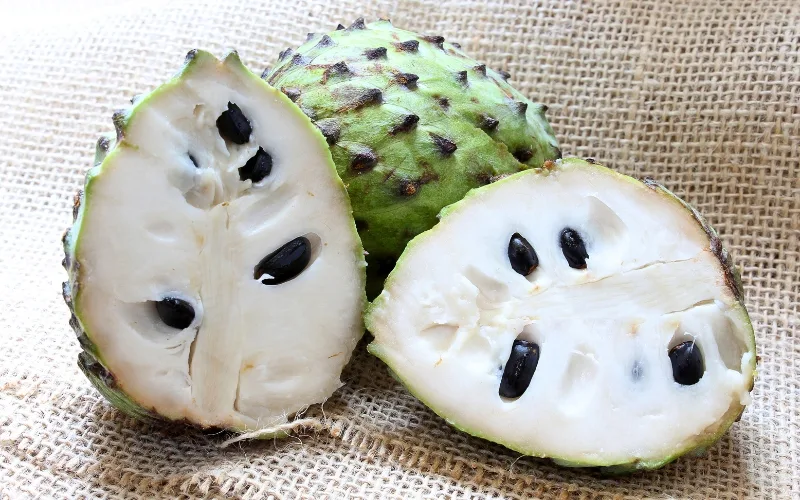 Mang cau xiem (Soursop), tropical fruit with white flesh, sweet and slightly tart, much appreciated in Vietnam for its freshness