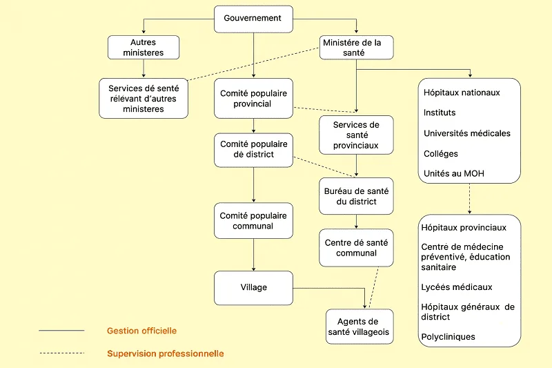 Organizational chart of Vietnam's healthcare system