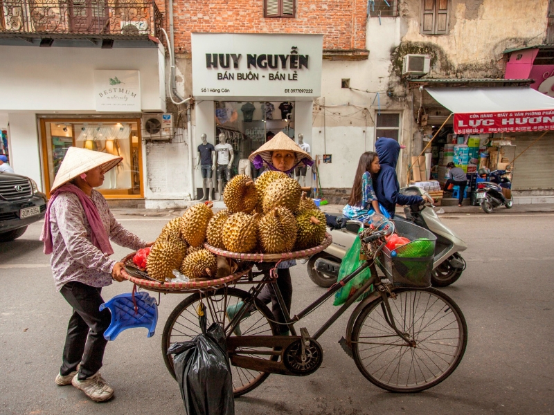 Top 10 Exotic Fruits of Vietnam to Discover Absolutely