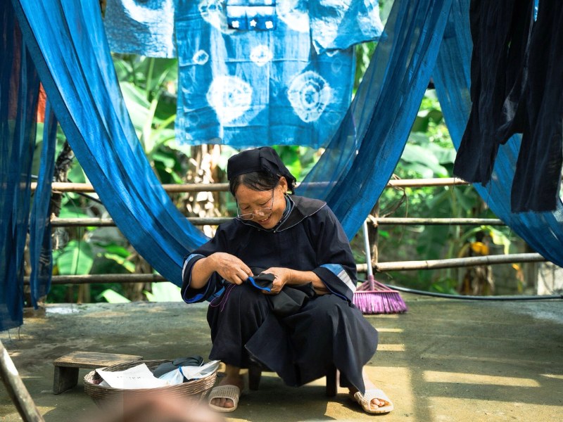 Brocart vietnamien
