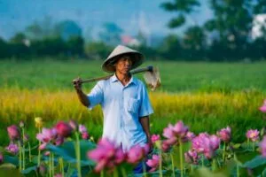 Horizon Vietnam Travel Loyalty Program