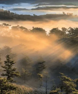 Dalat: Complete Guide to the City of Eternal Spring
