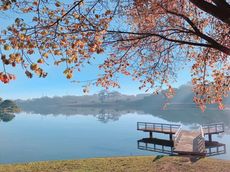 Xuan Huong Lake