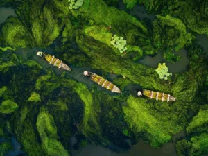 The Mekong Delta: Complete Guide to Vietnam’s Rice Bowl