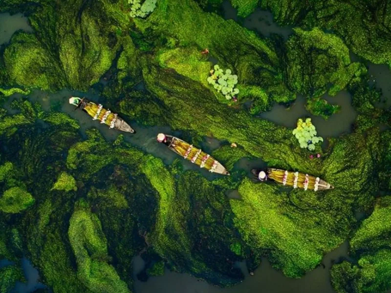Mekong Delta